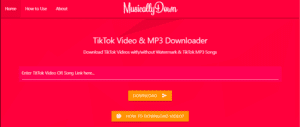 Download TikTok Videos Without Watermark
