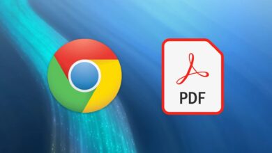 PDF in Chrome