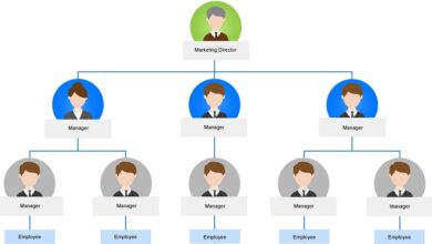 Organizational Chart Template