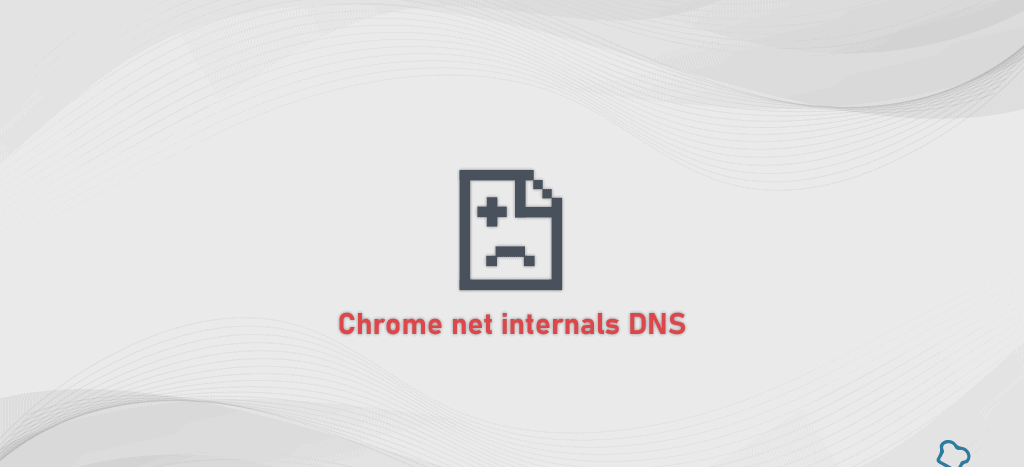 chrome //net-internals/#dns